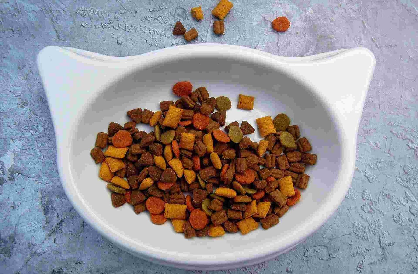 A feeding bowl with cat food.
