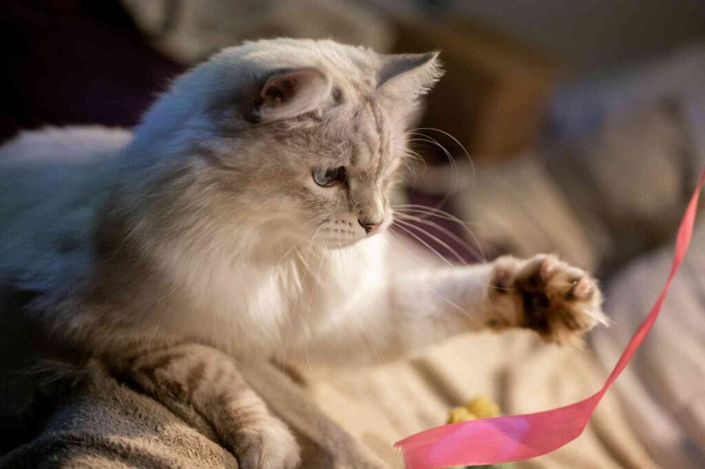 A cat playing with a pink ribbon on a couch.