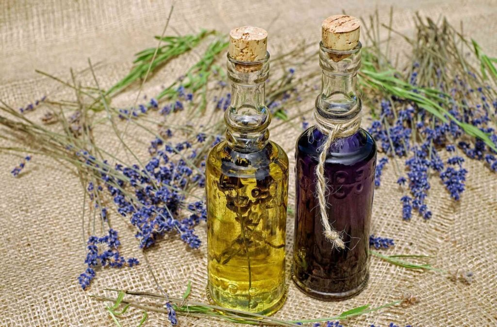 A lavender plant and oil picturing lavender scent and smell.