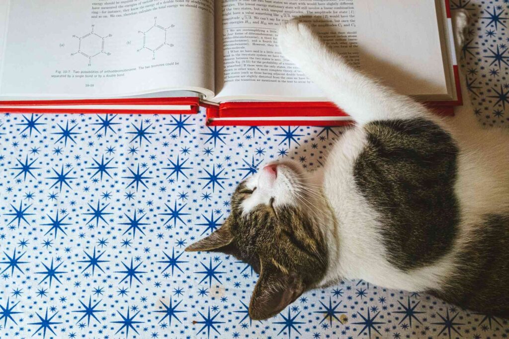 A cat sleeping in front of a science text book.