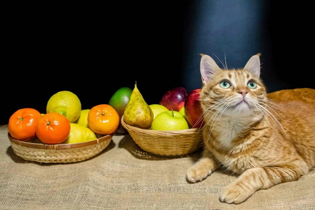 A cat sitting next to two fruit baskets.