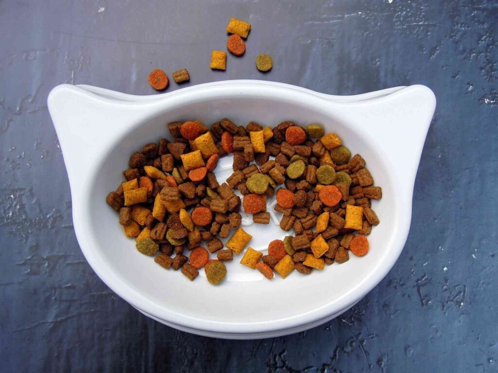 A white bowl with cat ears filled with fresh dry cat food.