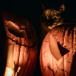 A cat behind two carved Halloween pumpkins with a light in front looking spooky.
