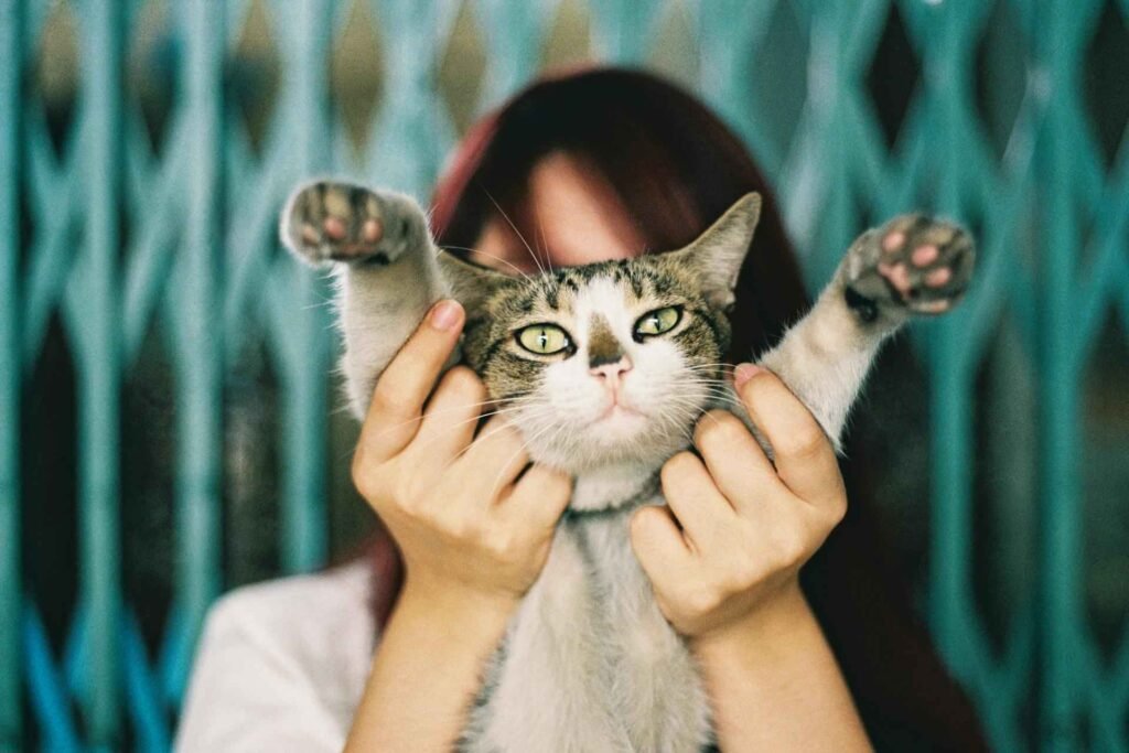A woman holding up cat with its paws up.
