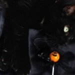 A black cat lying on a black textile with an orange halloween lollipop in front of it.