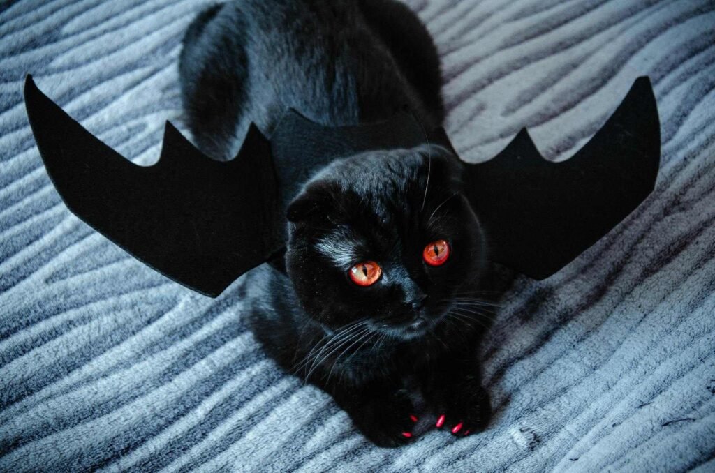 A black cat with bat wings, red eyes and red painted claws lying down and looking up.