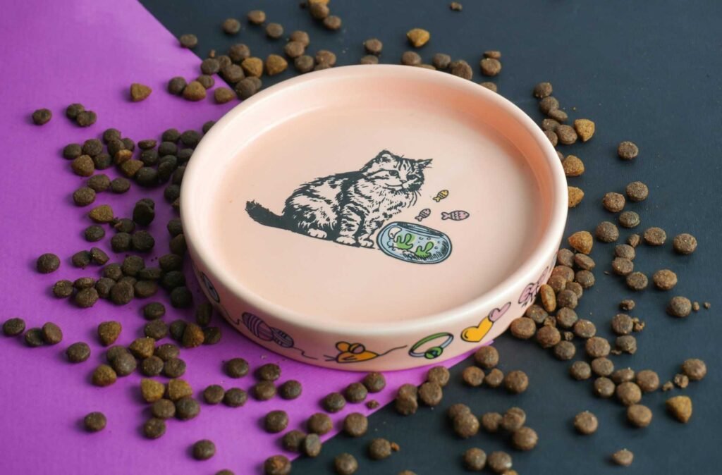 A picture of a shallow cat bowl with an illustration of a cat on the bottom of it surrounded by cat food and a pink mat.