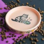 A picture of a shallow cat bowl with an illustration of a cat on the bottom of it surrounded by cat food and a pink mat.