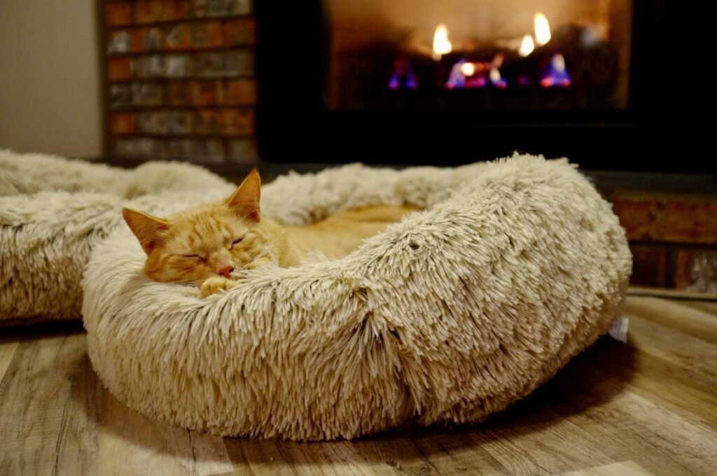 An orange cat in a fluffy round cat bed in front of a fireplace.