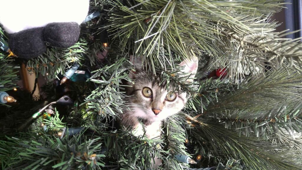 A young cat peeking out of an artificial christmas tree.
