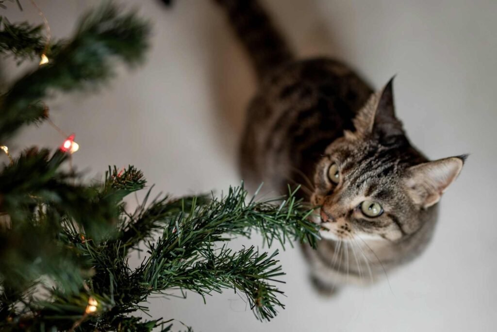 A tabby cat smelling the twig of an artificial christmas tree.