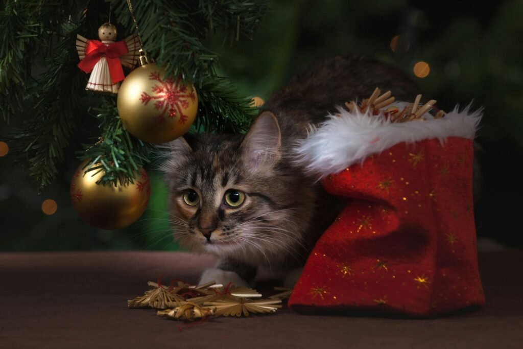 A tabby cat under a christmas tree next to a red christmas bag.