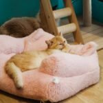 An orange cat lying on a couch style pink cat bed.