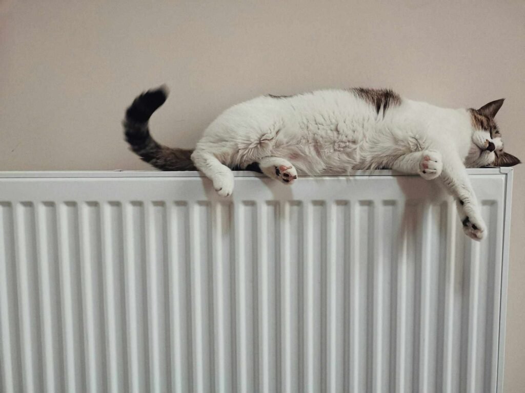 A sleeping cat lying on a white radiator.