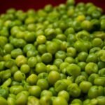 A red container filled with green peas.