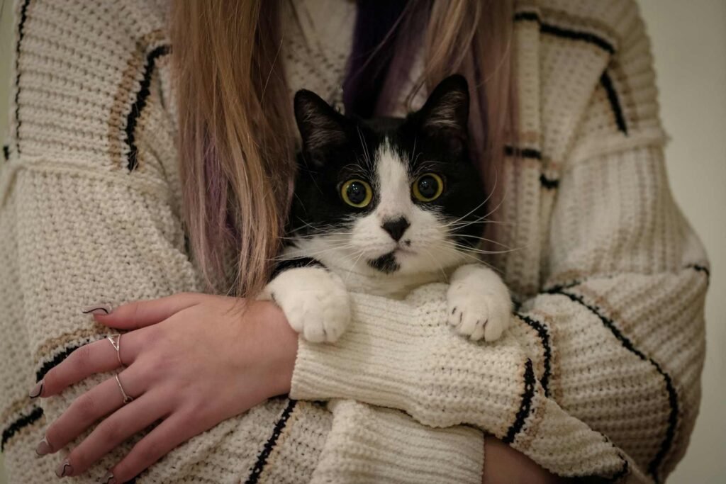 A black and white cat in a woman's arms looking into the camera.