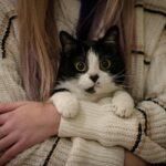 A black and white cat in a woman's arms looking into the camera.