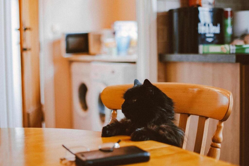 A black cat sitting on a wooden chair with its paws on the table.